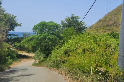 4-2-23-4 Fortuna We 1