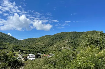 136 Eliza's Retreat Ea 1