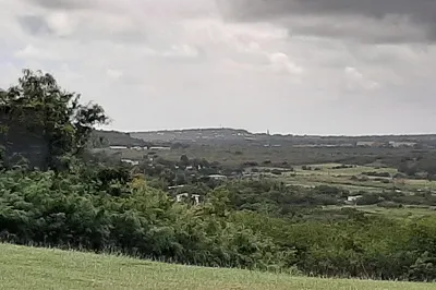 146 Morningstar Qu 1
