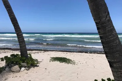 101 La Grande Princesse Co 1