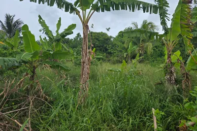 4-ma Upper Love Pr 1