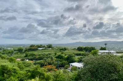 206 Mary's Fancy Qu 1