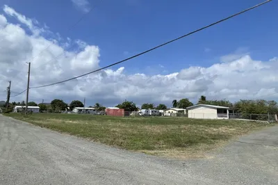 142 William's De Pr 1