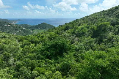 L-a Rem Gift & Regenback 1