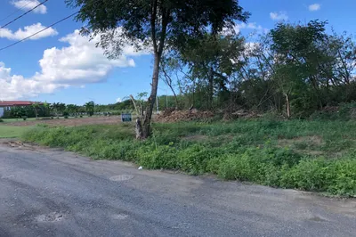 323 Enfield Green Pr 1