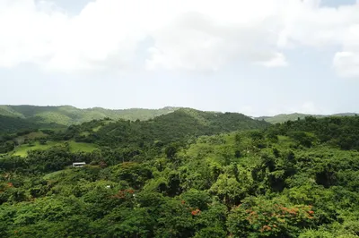 Matr. 29a Brooks Hill We 1