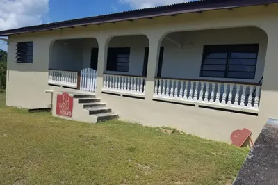 8-h Whim (two Will) We 1