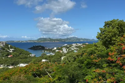 Hibiscus Serendip - St. John 1
