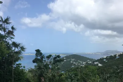 3b-25 Sans Soucci & Guinea Gut 1