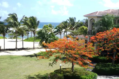 303 La Grande Princesse Qu 1