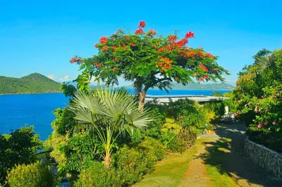 21 Rem Frydendal Ee 1