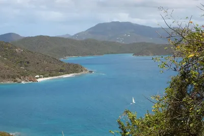 28-9 Calabash Boom 1