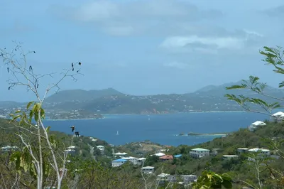 3b-20 Sans Soucci & Guinea Gut 1