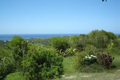 202 Morningstar Qu 1