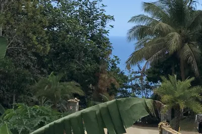 3 Re St. Peter Lns 1