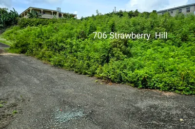 706 Strawberry Hill Qu 1