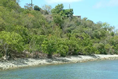 6p-2a Hansen Bay 1