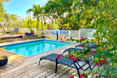 17b Sally's Fancy Ea 1