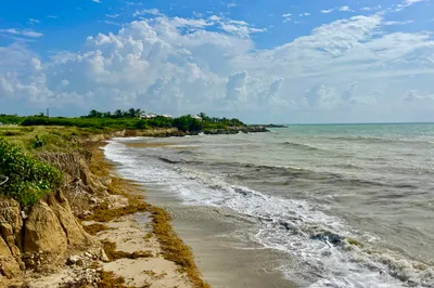 83 Enfield Green Pr 1