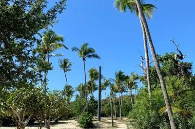 62 Water Island Ss 1