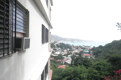 113 Agnes Fancy Qu 1