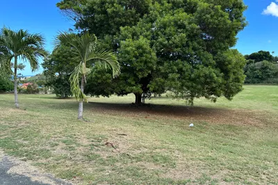 173 Judith's Fancy Qu 1