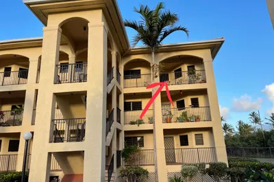 304 La Grande Princesse Co 1