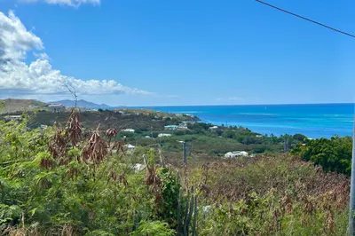 229 Cotton Valley Eb 1