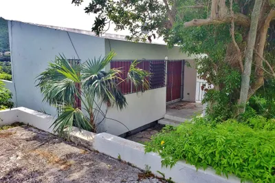 37a Thomas New 1