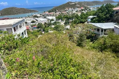 90 Anna's Fancy Kps 1