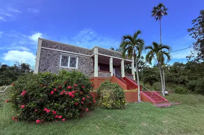 6 Rem Charlotte Amalie New 1