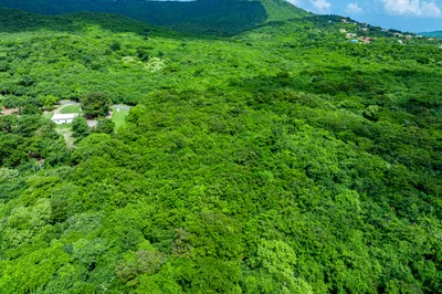 1-d River Pr 1