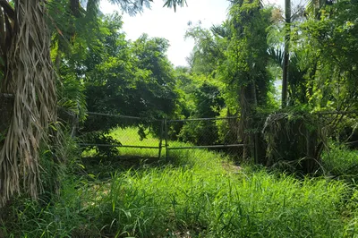 1068 William's De We 1