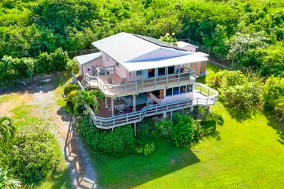 181 Da Two Brothers We 1