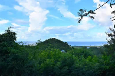 231 Little La Grange We 1