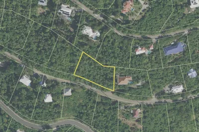 6-3-106 Carolina Corl 1