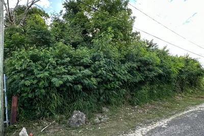 374 Mt. Pleasant Pr 1
