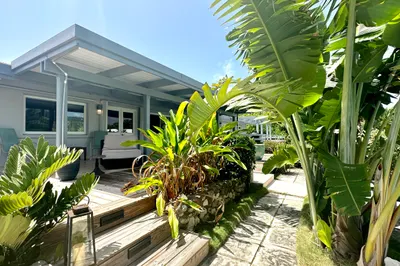 249 Judith's Fancy Qu 1