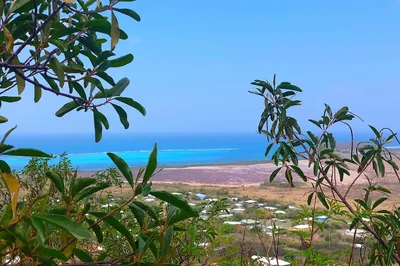 196 Union & Mt. Wash Ea 1