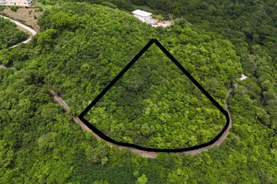 11 Orange Grove We 1