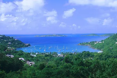 3b-6 Sans Soucci & Guinea Gut 1