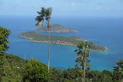 1a-9-23 Dorothea Lns 1