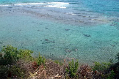 6c-1b-2 St. Quaco & Zimmerman 1