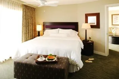 479 Chocolate Hole 1