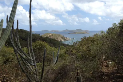 6y-10a-1 Hansen Bay 1