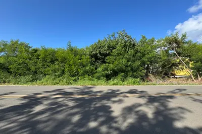 41-u Whim (two Will) We 1