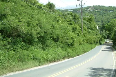 481-1 Chocolate Hole 1