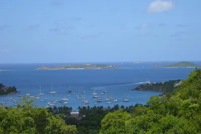 3b-14 Sans Soucci & Guinea Gut 1