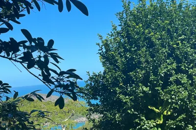 61-b Caret Bay Lns 1