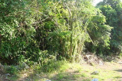 2pa-f Concordia Qu 1